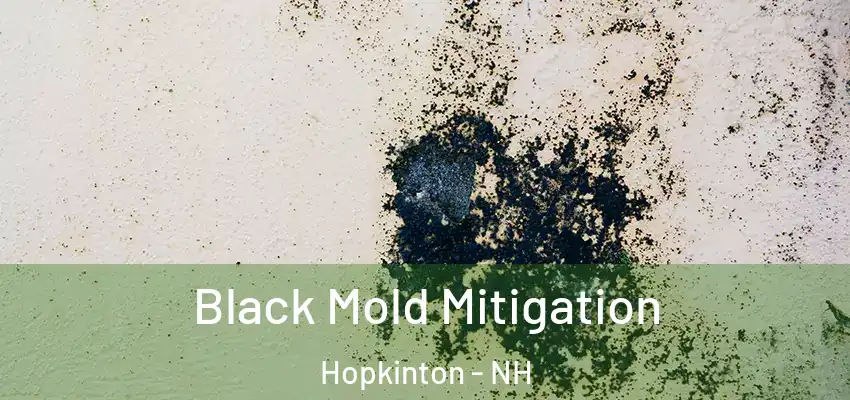  Black Mold Mitigation Hopkinton - NH