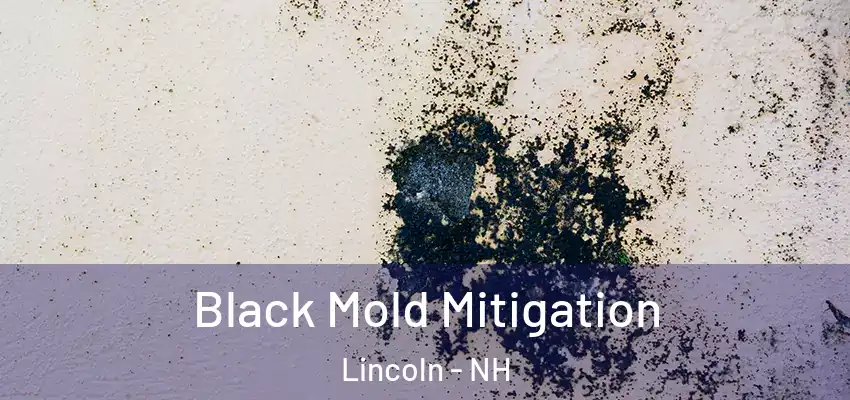  Black Mold Mitigation Lincoln - NH
