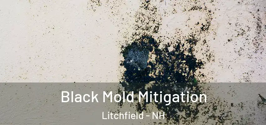 Black Mold Mitigation Litchfield - NH