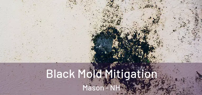  Black Mold Mitigation Mason - NH
