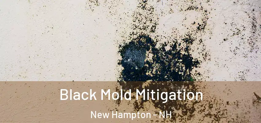 Black Mold Mitigation New Hampton - NH