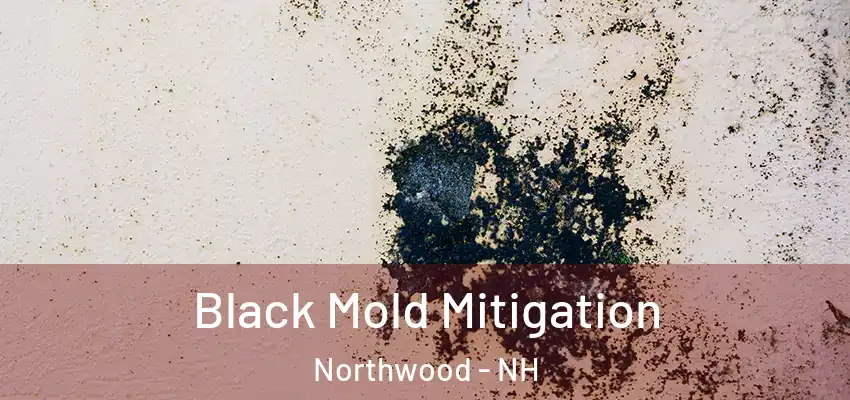  Black Mold Mitigation Northwood - NH