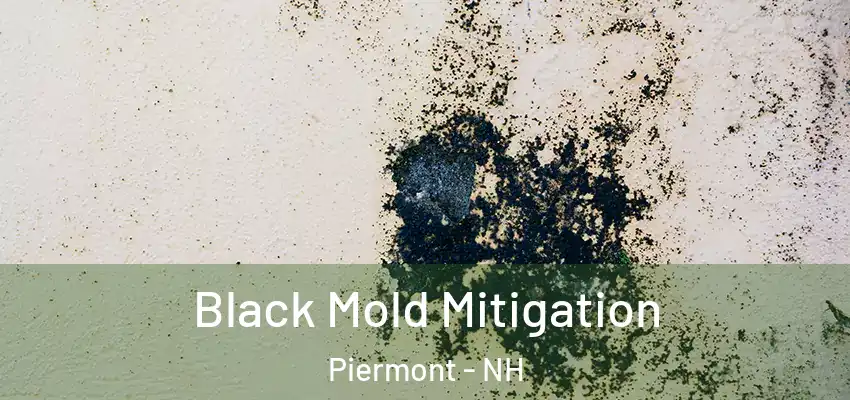  Black Mold Mitigation Piermont - NH