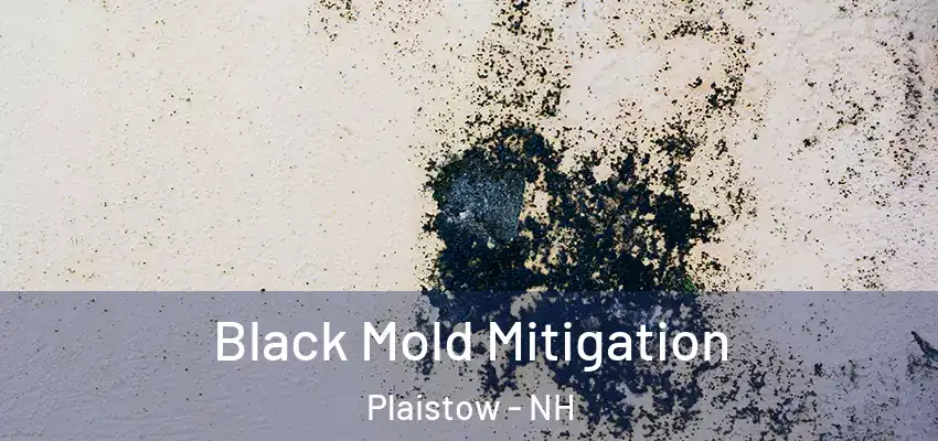 Black Mold Mitigation Plaistow - NH