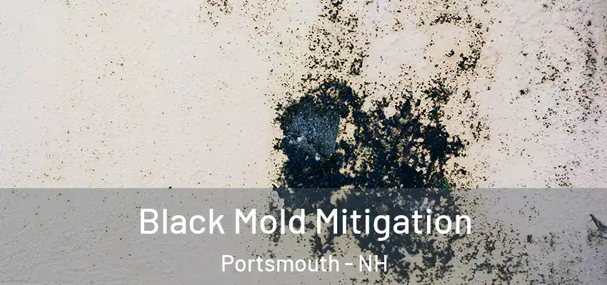  Black Mold Mitigation Portsmouth - NH