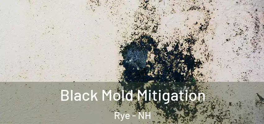 Black Mold Mitigation Rye - NH