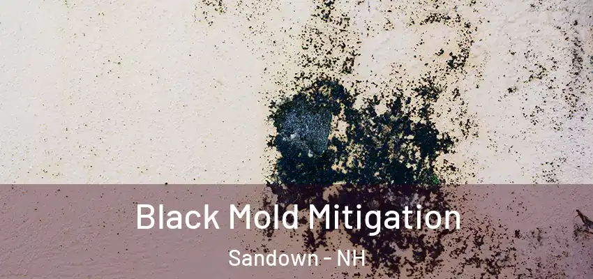 Black Mold Mitigation Sandown - NH