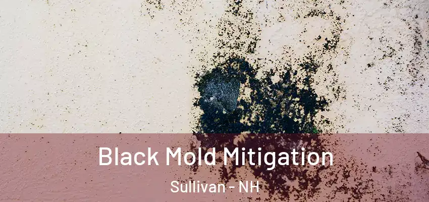 Black Mold Mitigation Sullivan - NH