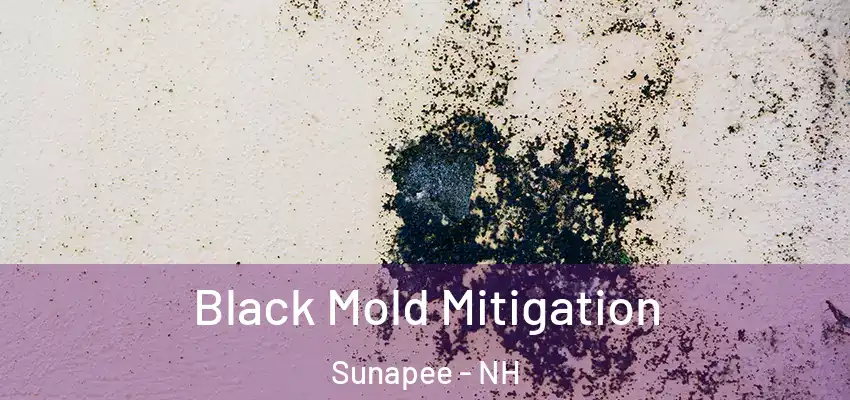  Black Mold Mitigation Sunapee - NH