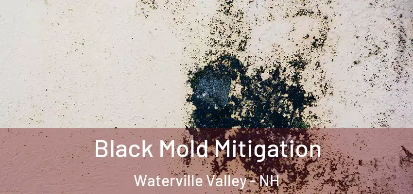  Black Mold Mitigation Waterville Valley - NH