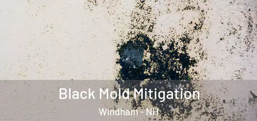 Black Mold Mitigation Windham - NH