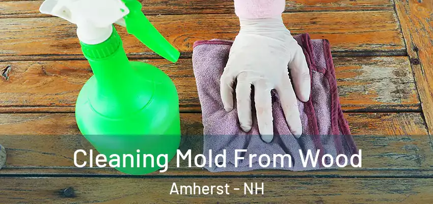  Cleaning Mold From Wood Amherst - NH