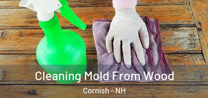 Cleaning Mold From Wood Cornish - NH