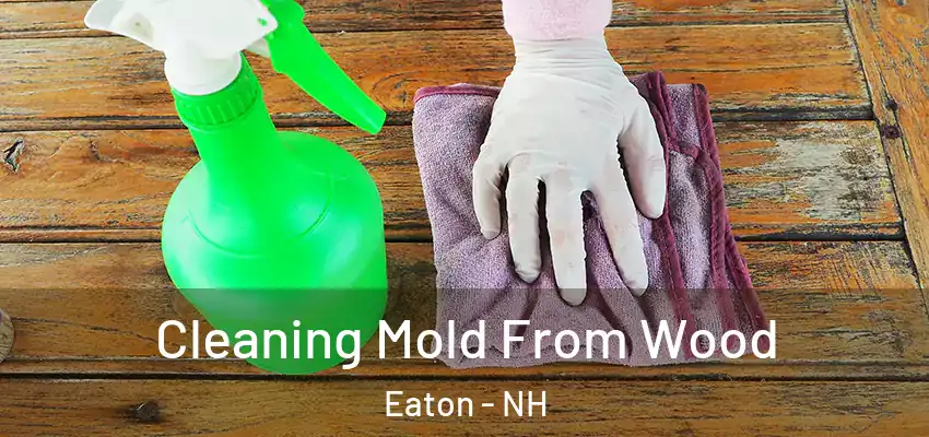  Cleaning Mold From Wood Eaton - NH