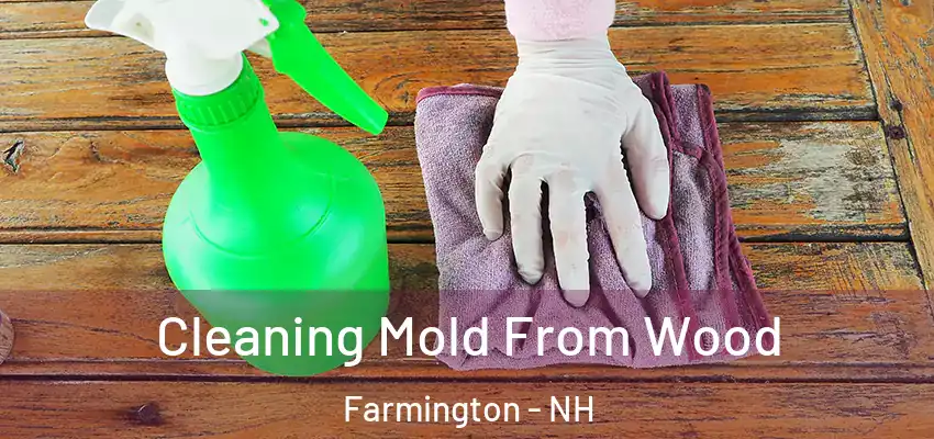 Cleaning Mold From Wood Farmington - NH