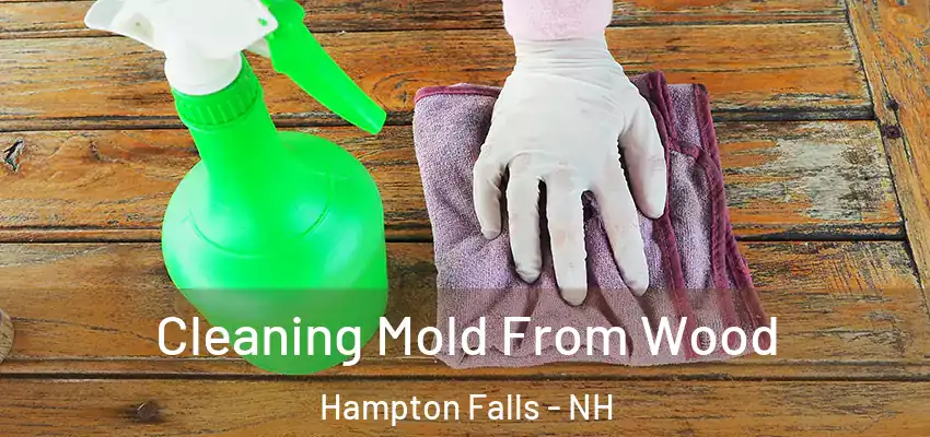  Cleaning Mold From Wood Hampton Falls - NH