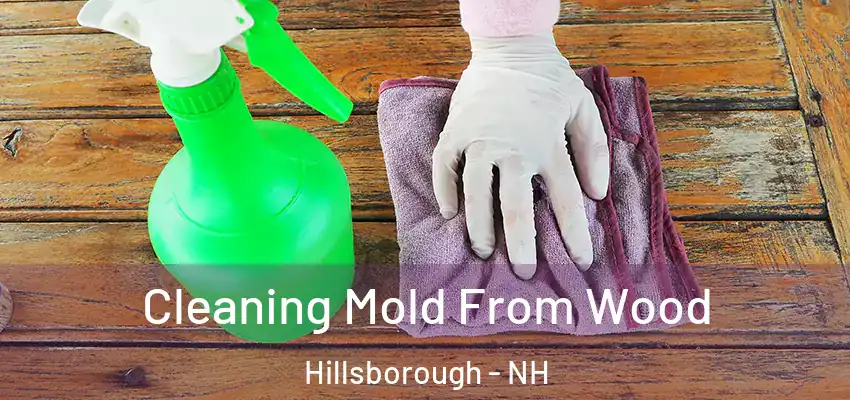 Cleaning Mold From Wood Hillsborough - NH