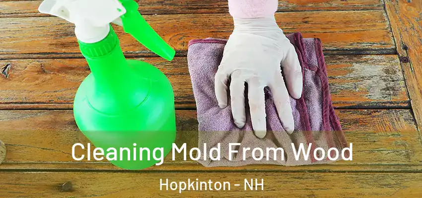 Cleaning Mold From Wood Hopkinton - NH