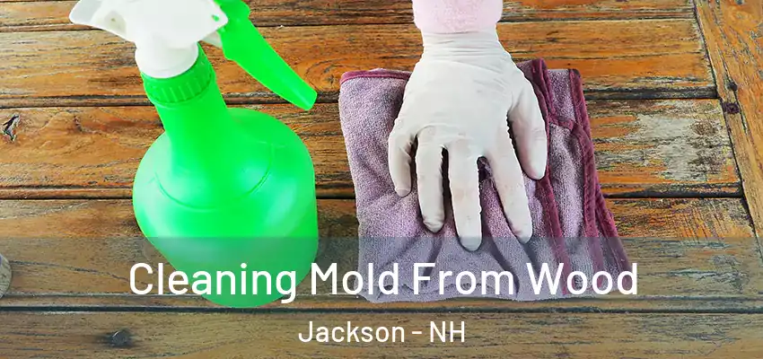  Cleaning Mold From Wood Jackson - NH