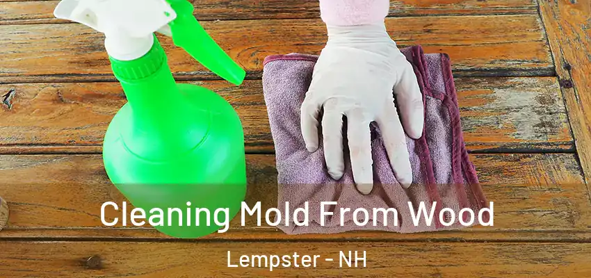  Cleaning Mold From Wood Lempster - NH