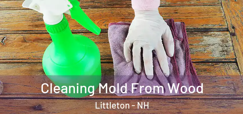  Cleaning Mold From Wood Littleton - NH