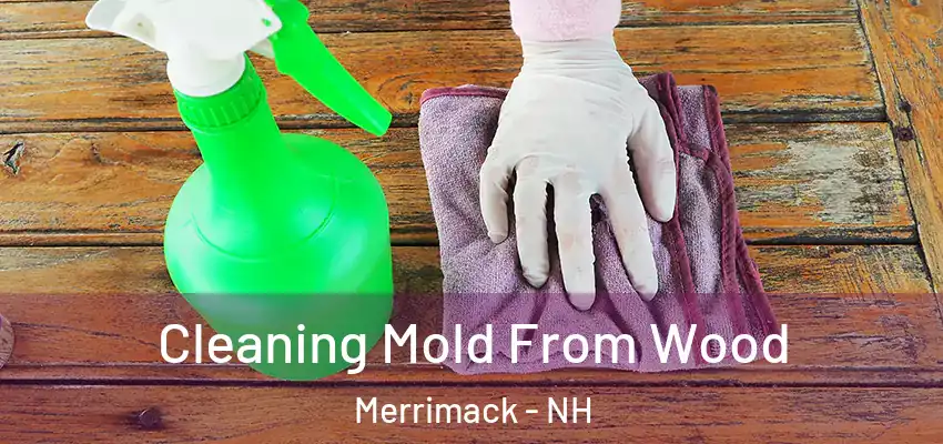  Cleaning Mold From Wood Merrimack - NH