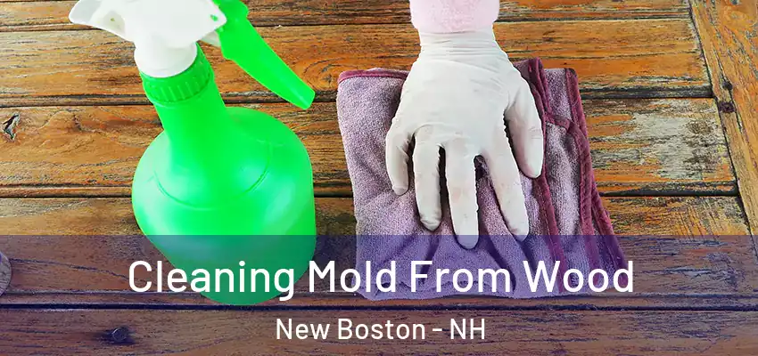 Cleaning Mold From Wood New Boston - NH