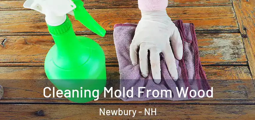 Cleaning Mold From Wood Newbury - NH