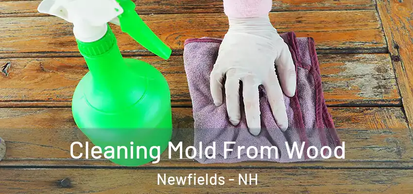  Cleaning Mold From Wood Newfields - NH