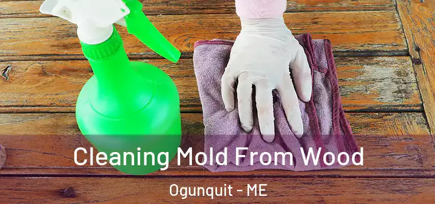 Cleaning Mold From Wood Ogunquit - ME