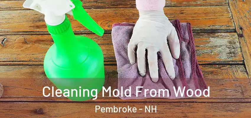  Cleaning Mold From Wood Pembroke - NH