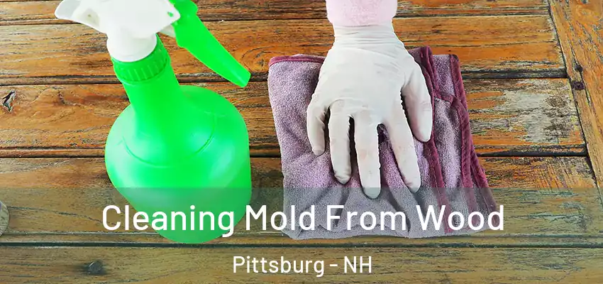  Cleaning Mold From Wood Pittsburg - NH