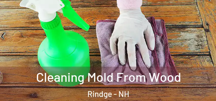  Cleaning Mold From Wood Rindge - NH