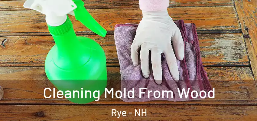  Cleaning Mold From Wood Rye - NH