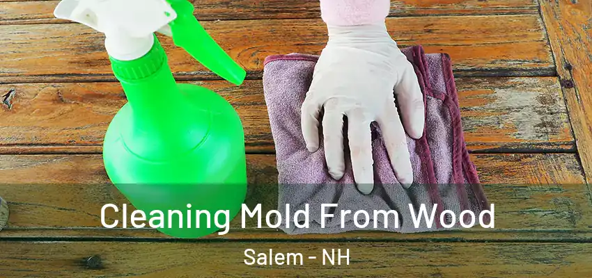  Cleaning Mold From Wood Salem - NH