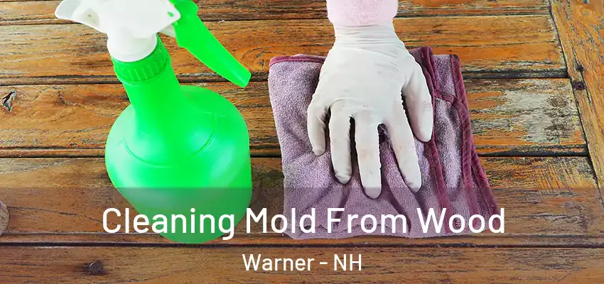  Cleaning Mold From Wood Warner - NH