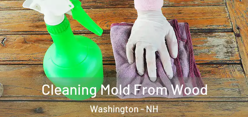  Cleaning Mold From Wood Washington - NH