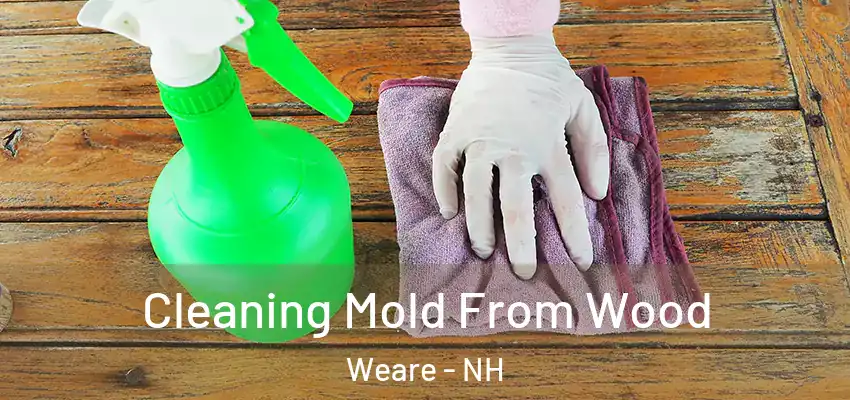 Cleaning Mold From Wood Weare - NH