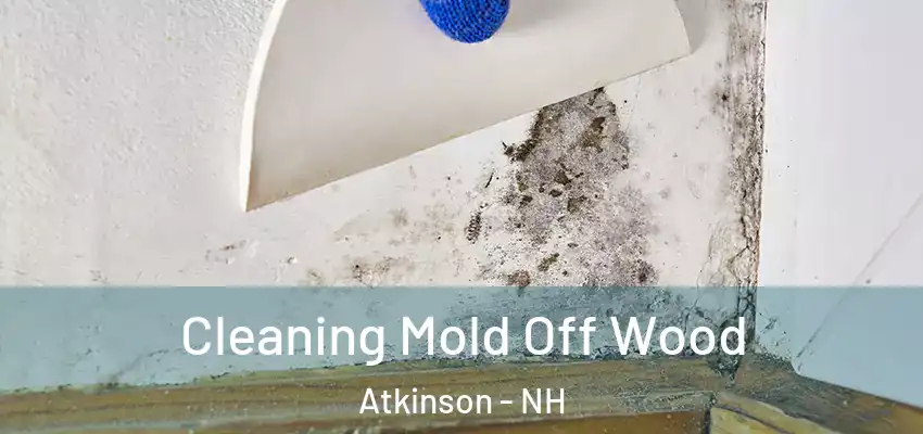  Cleaning Mold Off Wood Atkinson - NH