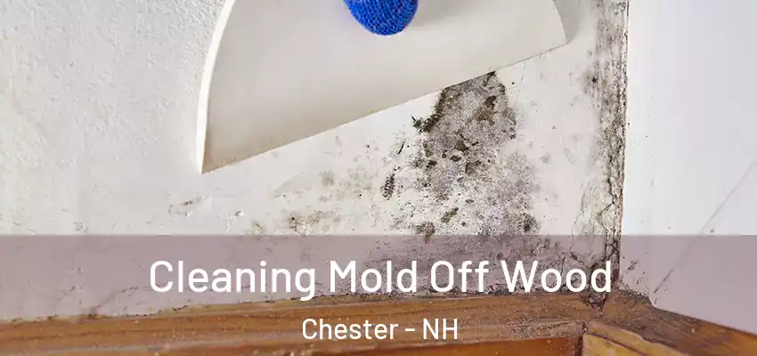  Cleaning Mold Off Wood Chester - NH