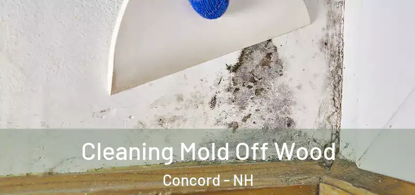  Cleaning Mold Off Wood Concord - NH