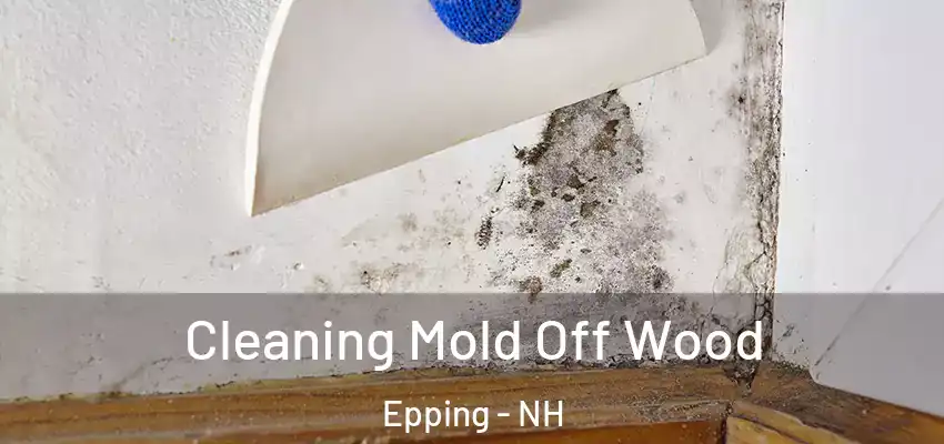 Cleaning Mold Off Wood Epping - NH