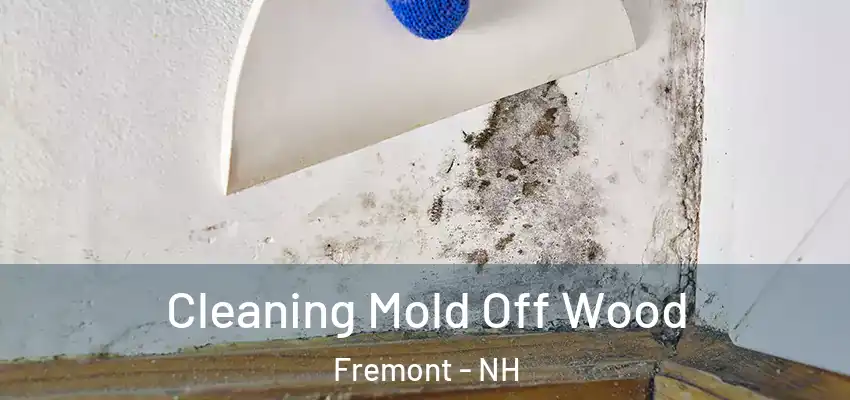 Cleaning Mold Off Wood Fremont - NH