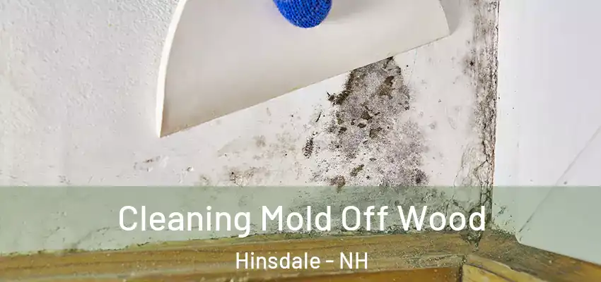 Cleaning Mold Off Wood Hinsdale - NH