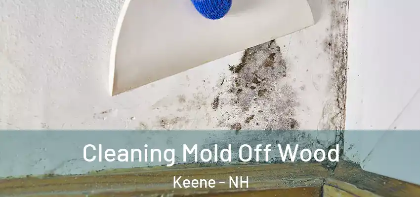  Cleaning Mold Off Wood Keene - NH