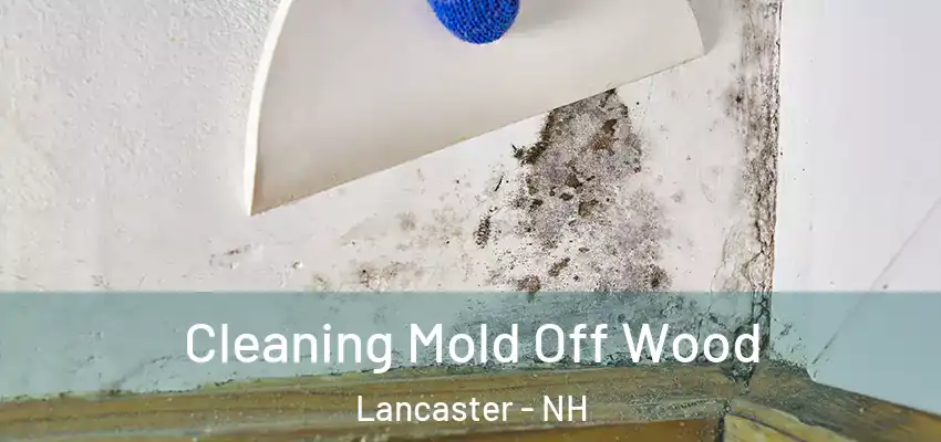  Cleaning Mold Off Wood Lancaster - NH