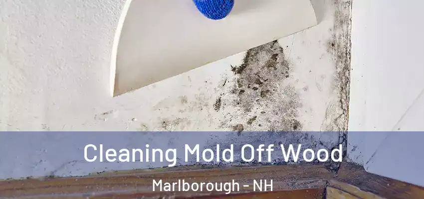 Cleaning Mold Off Wood Marlborough - NH