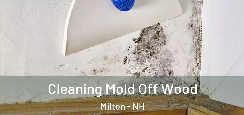  Cleaning Mold Off Wood Milton - NH
