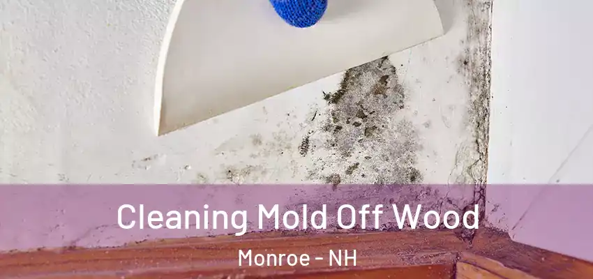  Cleaning Mold Off Wood Monroe - NH
