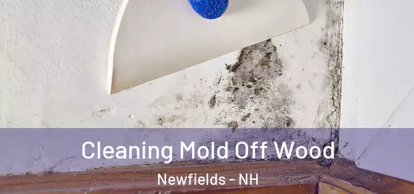  Cleaning Mold Off Wood Newfields - NH